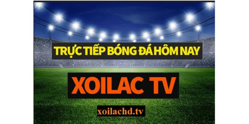 Hướng dẫn cách tải xoi lac tv về cho dế yêu đơn giản và nhanh chóng